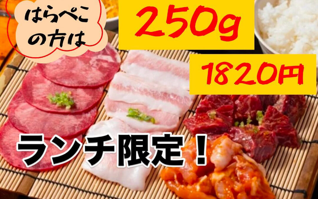 焼肉苑ランチ!明日休日も12:0029やってます!