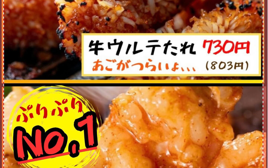 夏はほるもん！プルプルからコリコリまで！