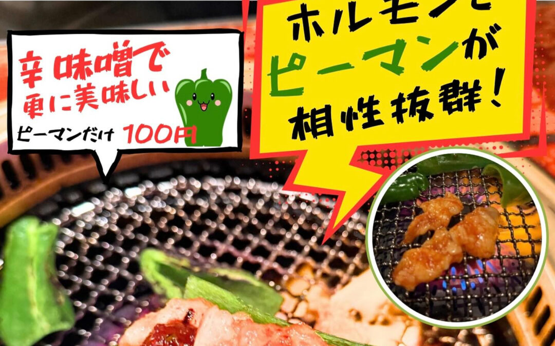 ピーマンと一緒に和牛ホルモン！めちゃくちゃ美味しいですよ！是