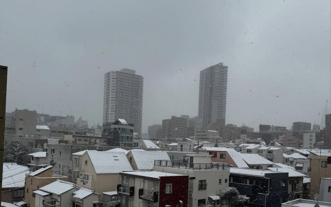 焼肉苑四谷です